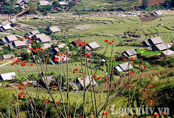 Những bản làng đẹp như tranh vẽ ở vùng quê Lào Cai | Đài Phát thanh -  Truyền hình Lào Cai