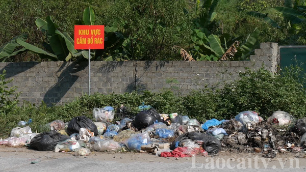 Du khách nước ngoài nhặt rác, người Việt thi nhau xả rác, không xấu hổ?